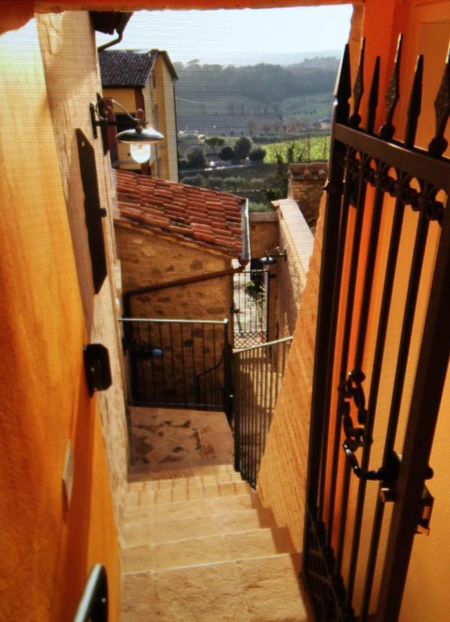 Diana House Ripa